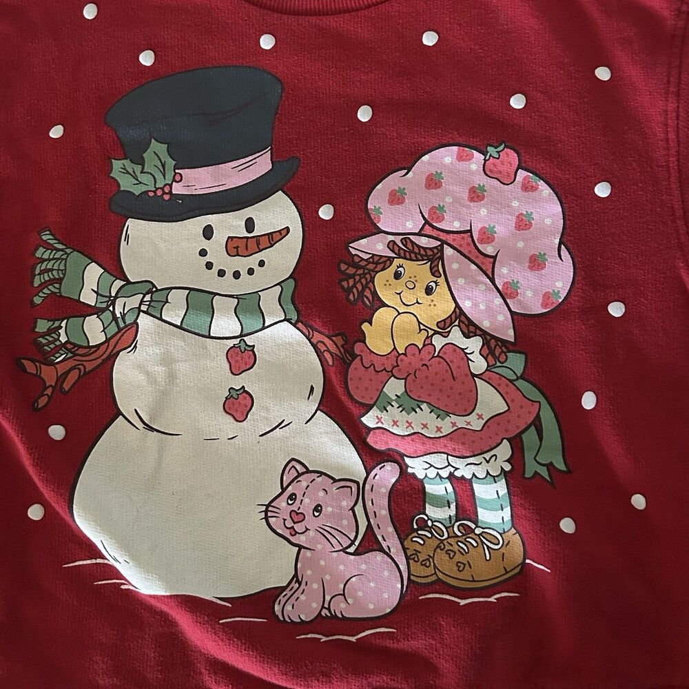 TODDLER 2T STRAWBERRY SHORTCAKE SWEATSHIRT  Pre Owned